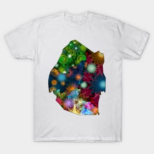 Spirograph Patterned Djibouti Regions Map T-Shirt